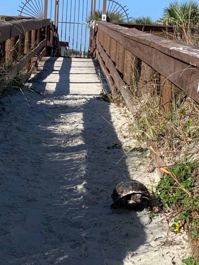 St. Augustine Ocean & Racquet Resort Exterior foto